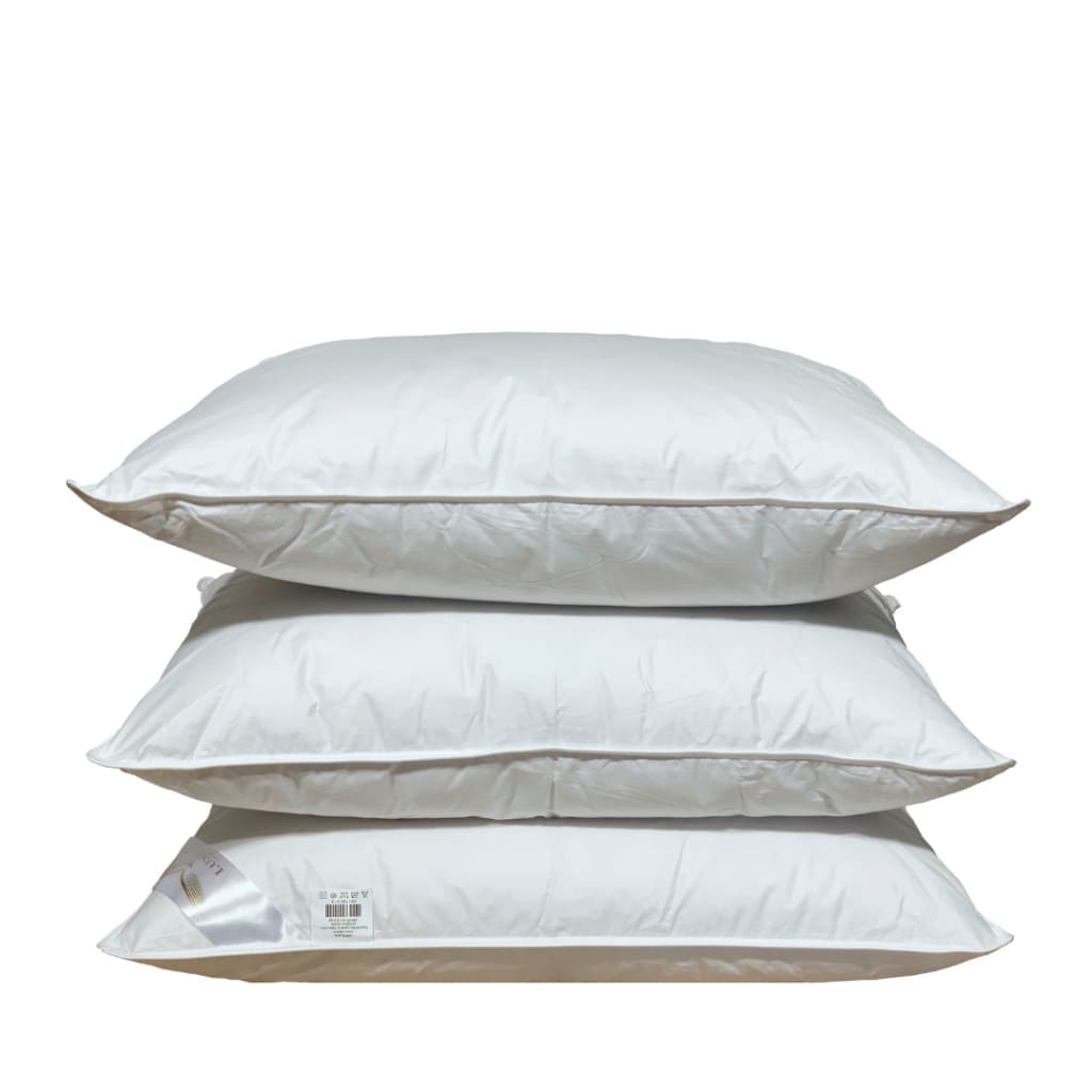 Dubbelt täcke och två kuddar med gåsdun och fjädrar