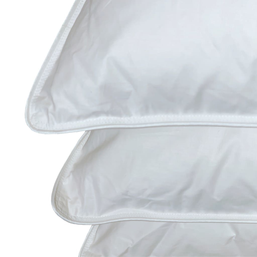 Dubbelt täcke och två kuddar med gåsdun och fjädrar